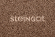 Брусчатка Steingot Прямоугольник 200х100х60 без фаски серия Практик 60 Коричневый частичный прокрас